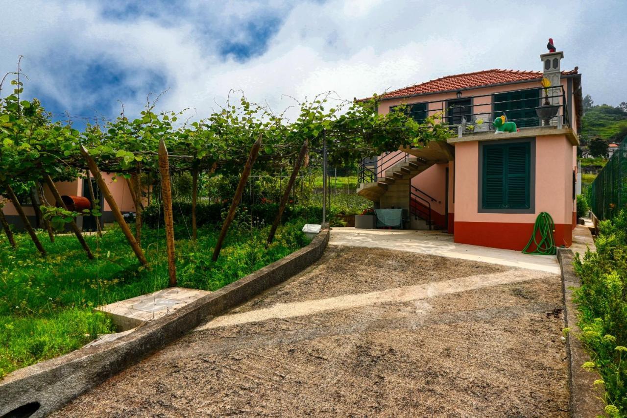 Os Ferreirinhos, A Home In Madeira Сан-Жоржи Экстерьер фото